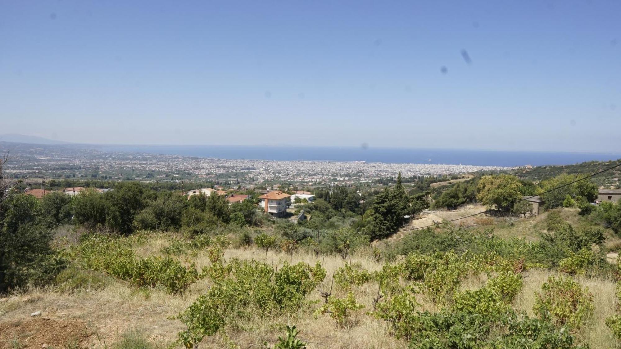 Romanos Patras Studio المظهر الخارجي الصورة